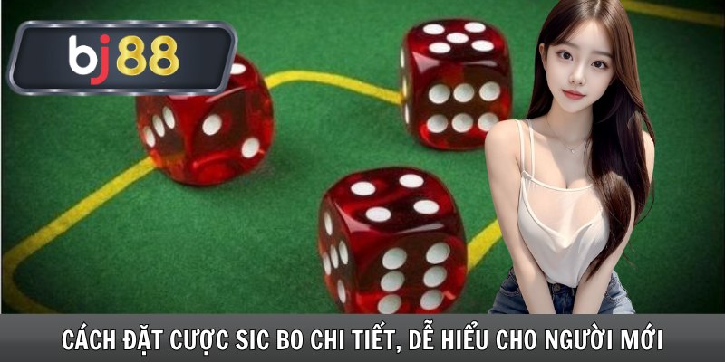 Cách Đặt Cược Sic Bo Chi Tiết, Dễ Hiểu Cho Người Mới